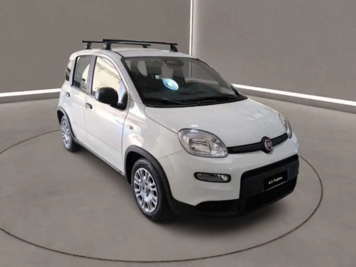 Fiat Panda usata a Caltanissetta (2)