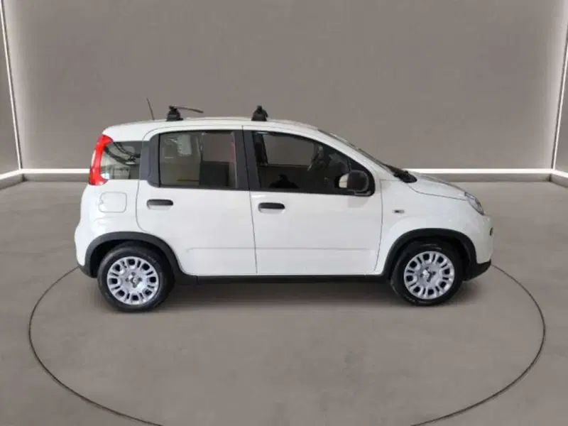 Fiat Panda usata a Caltanissetta (3)