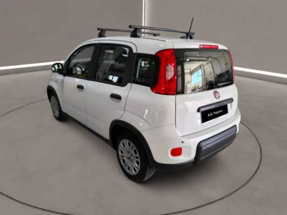 Fiat Panda usata a Caltanissetta (7)