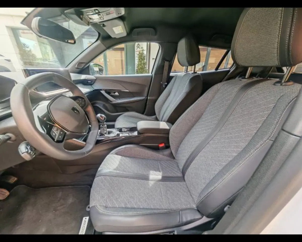 Peugeot 2008 usata a Potenza (10)