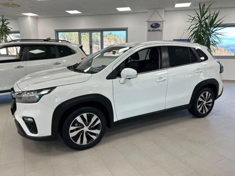 Suzuki S-Cross usata a Campobasso (3)