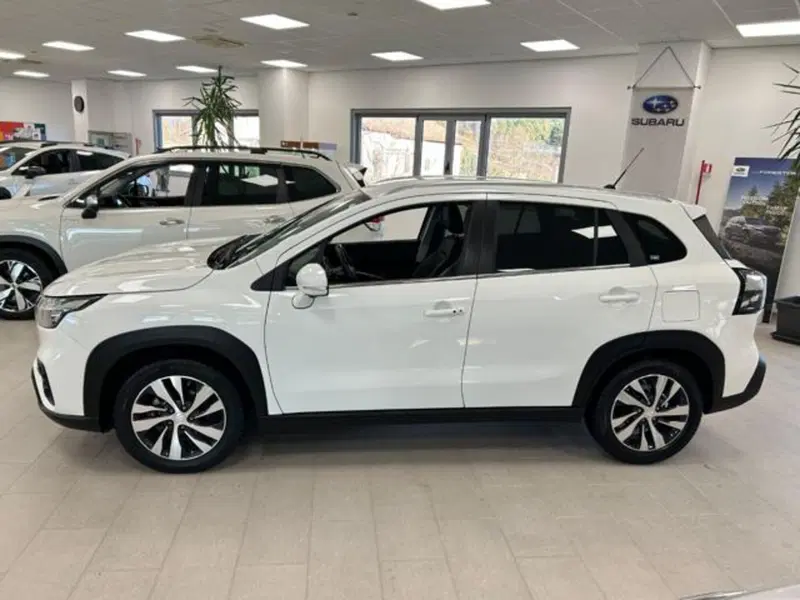 Suzuki S-Cross usata a Campobasso (7)