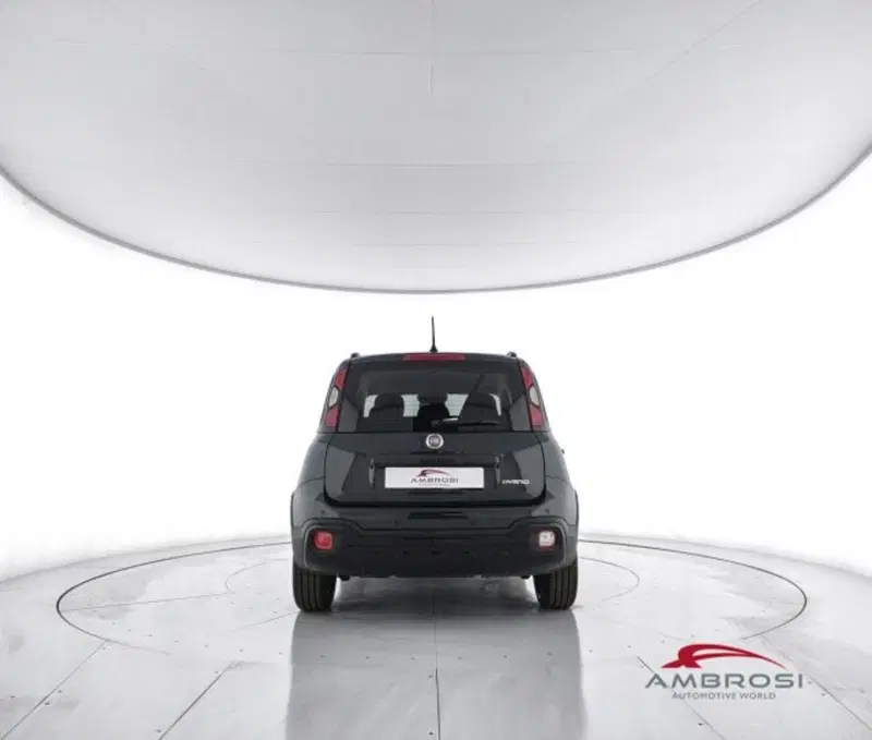 Fiat Panda Cross usata a Perugia (6)