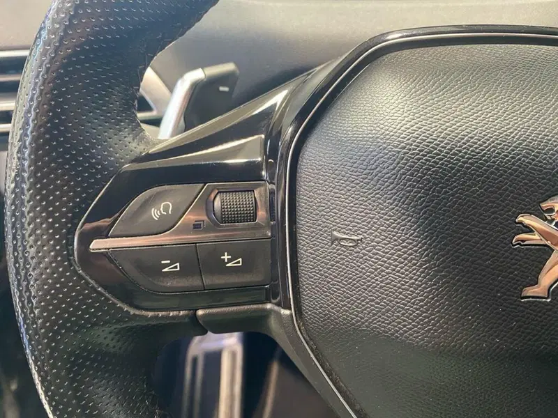 Peugeot 5008 usata a Torino (13)