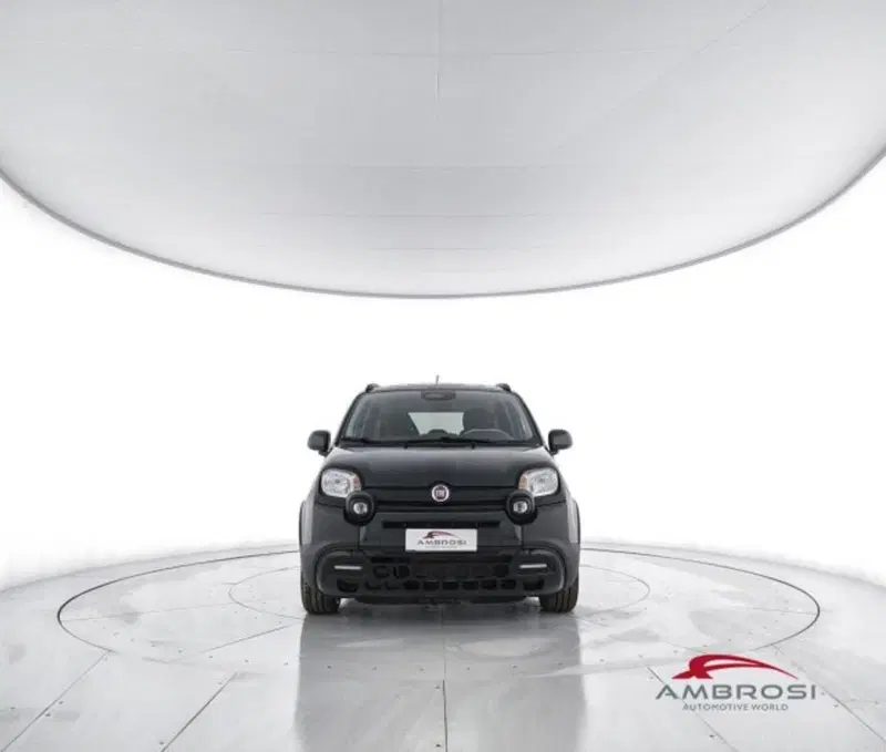 Fiat Panda Cross usata a Perugia (5)
