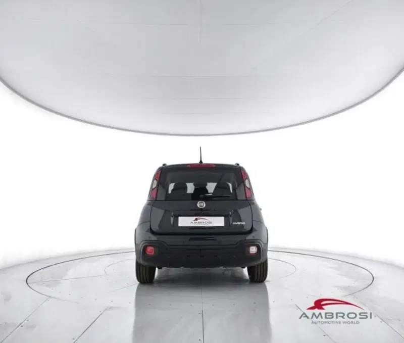 Fiat Panda Cross usata a Perugia (6)