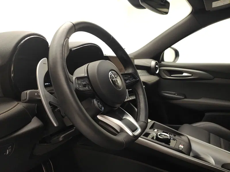 Alfa Romeo Tonale usata a Como (9)