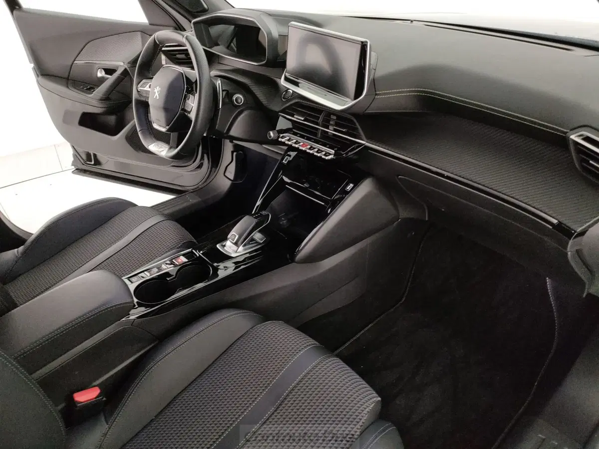 Peugeot 2008 usata a Caserta (12)