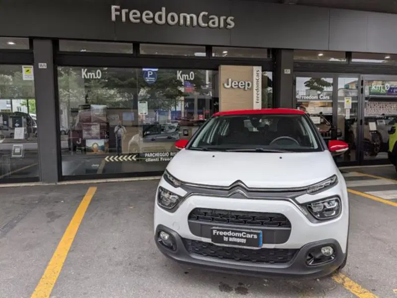 Citroen C3 usata a Parma (5)