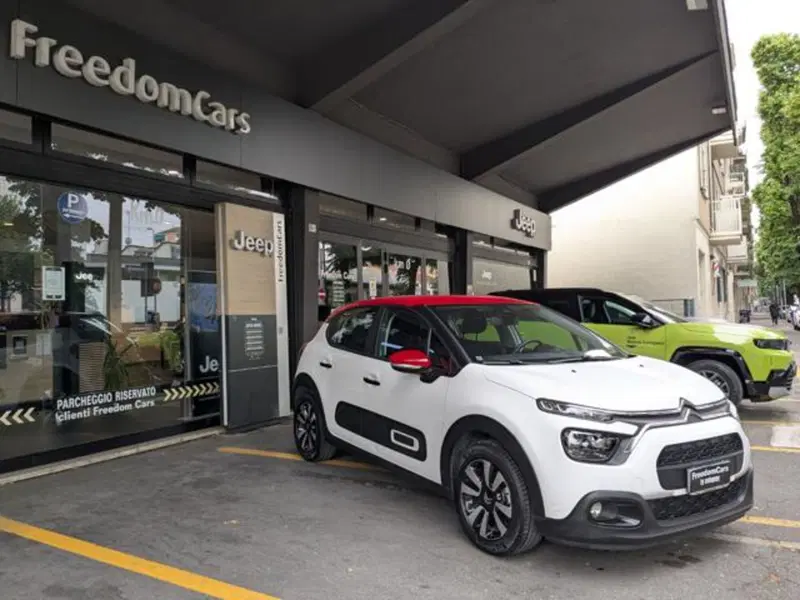 Citroen C3 usata a Parma (6)