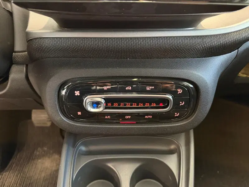 smart Fortwo usata a Napoli (13)