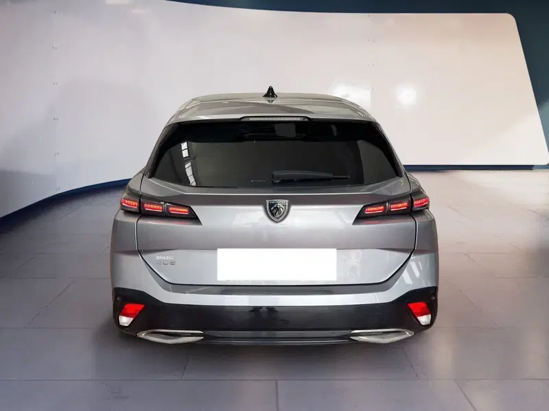 Peugeot 308 SW usata a Torino (5)