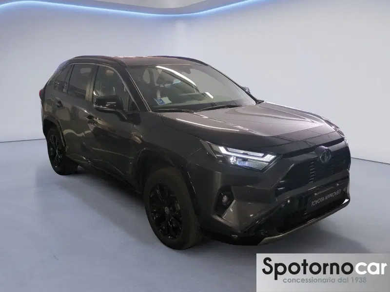 Toyota Rav4 usata a Milano (7)
