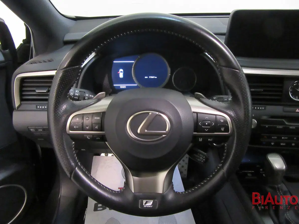 Lexus RX usata a Firenze (11)