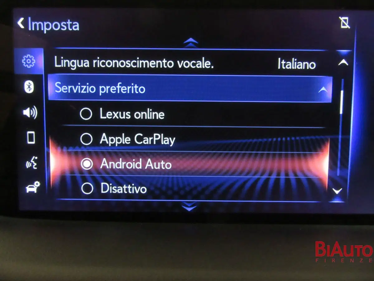 Lexus RX usata a Firenze (15)