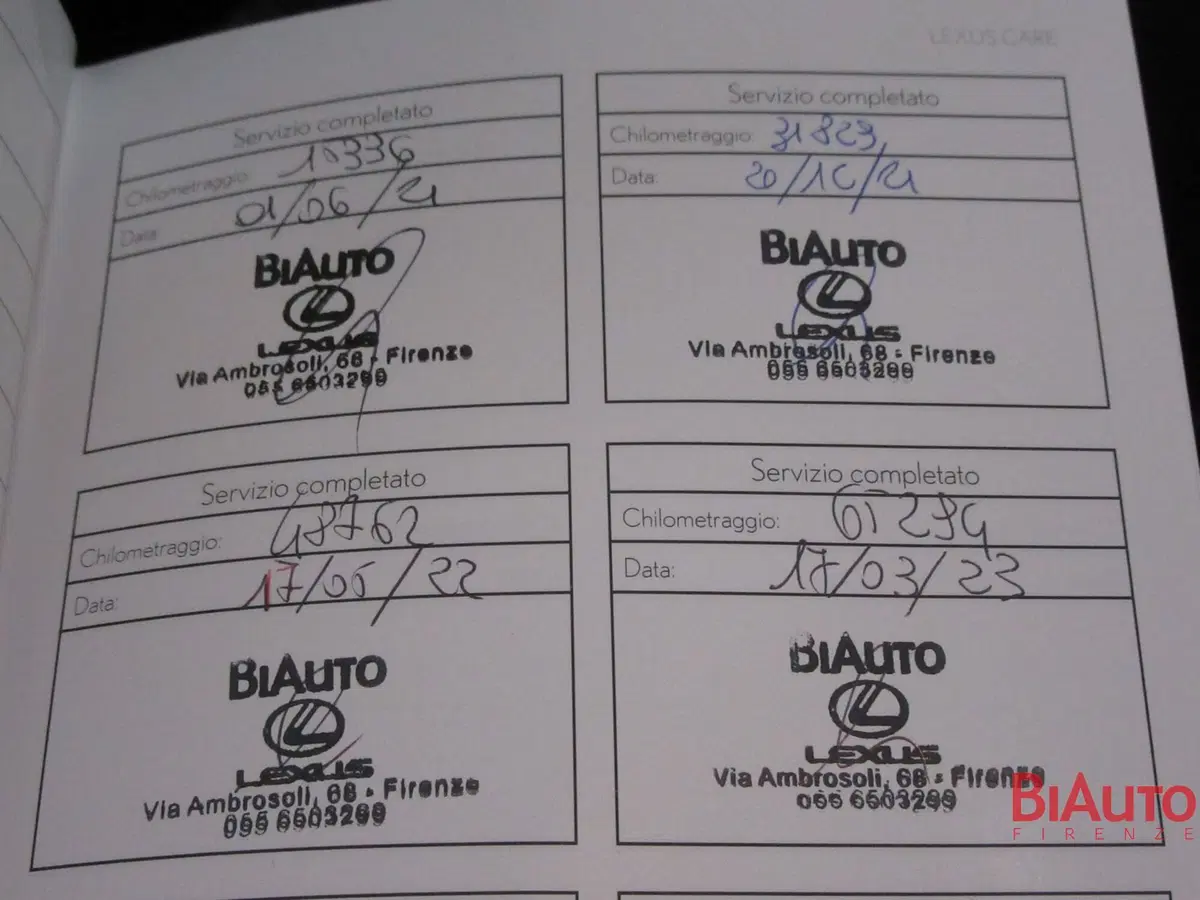 Lexus RX usata a Firenze (18)