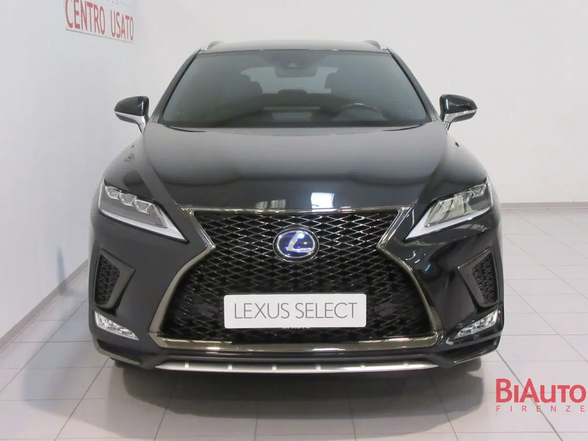 Lexus RX usata a Firenze (5)