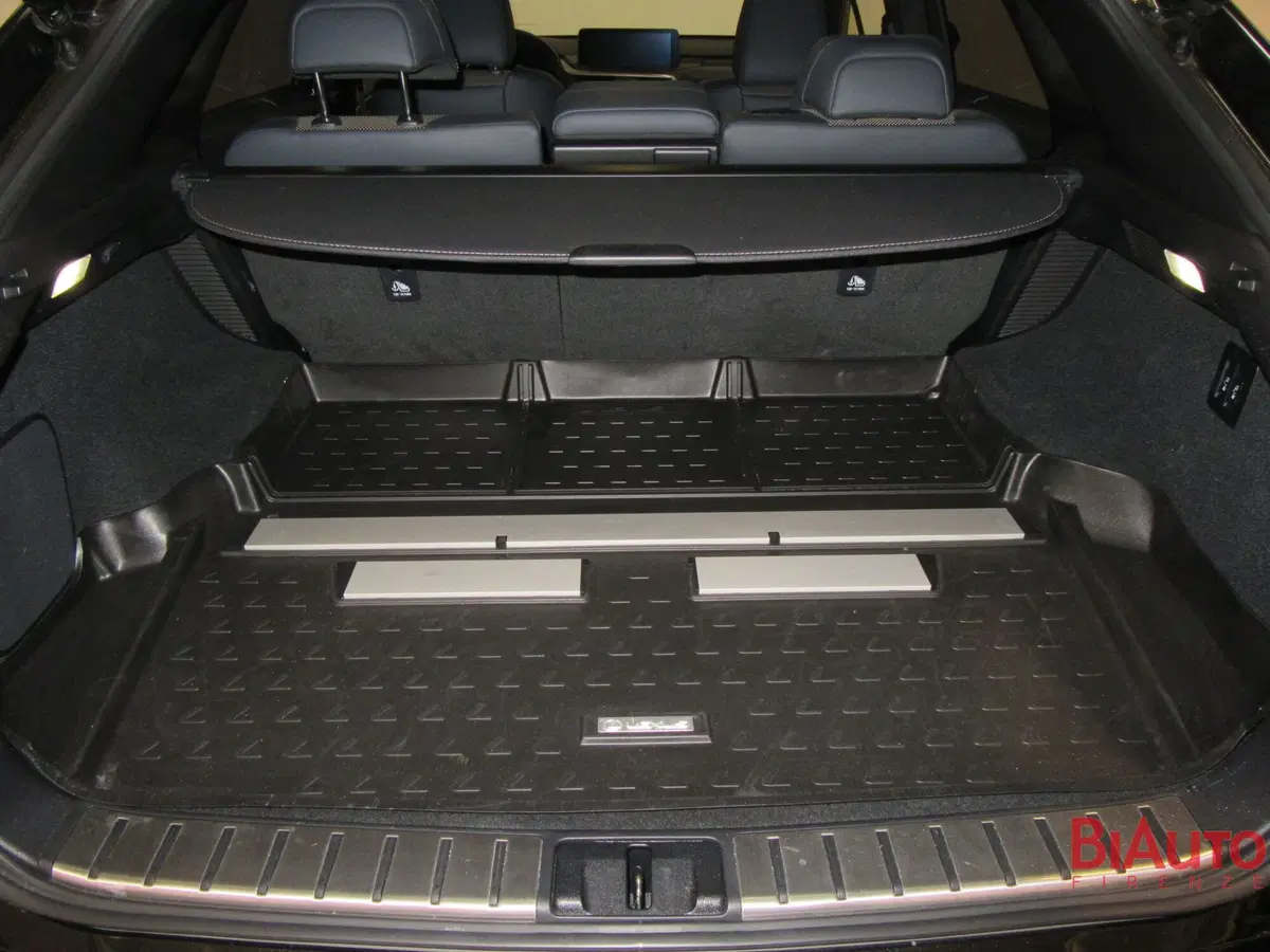 Lexus RX usata a Firenze (8)