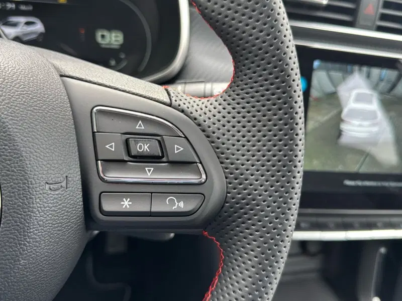Mg ZS nuova a Ferrara (15)