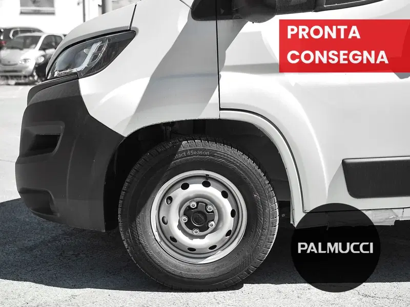 Fiat Ducato nuova a Prato (4)