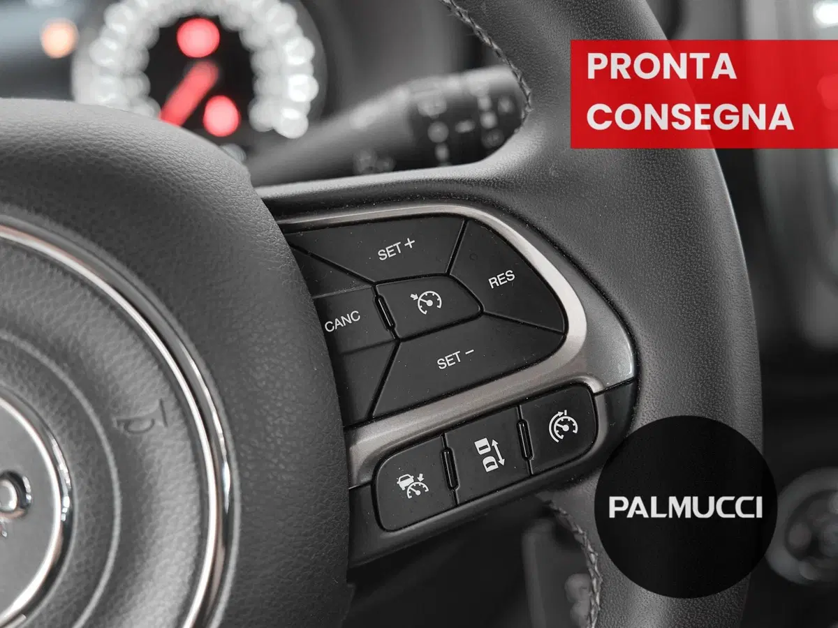 Jeep Renegade usata a Prato (11)