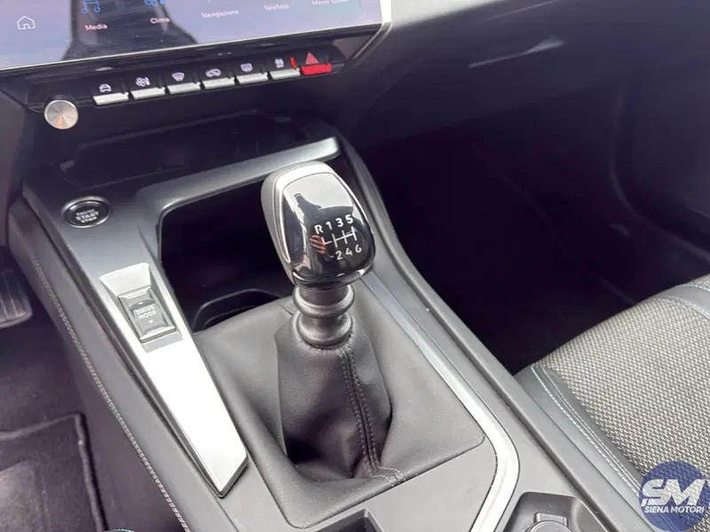 Peugeot 308 SW usata a Firenze (16)