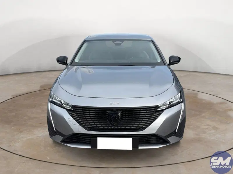 Peugeot 308 SW usata a Firenze (7)