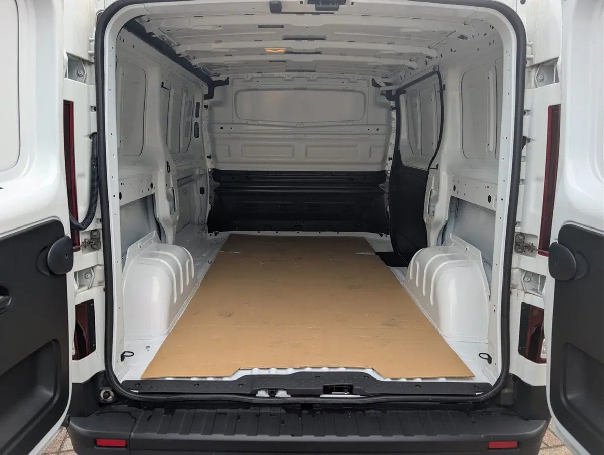Renault Trafic Furgone usata a Pavia (8)