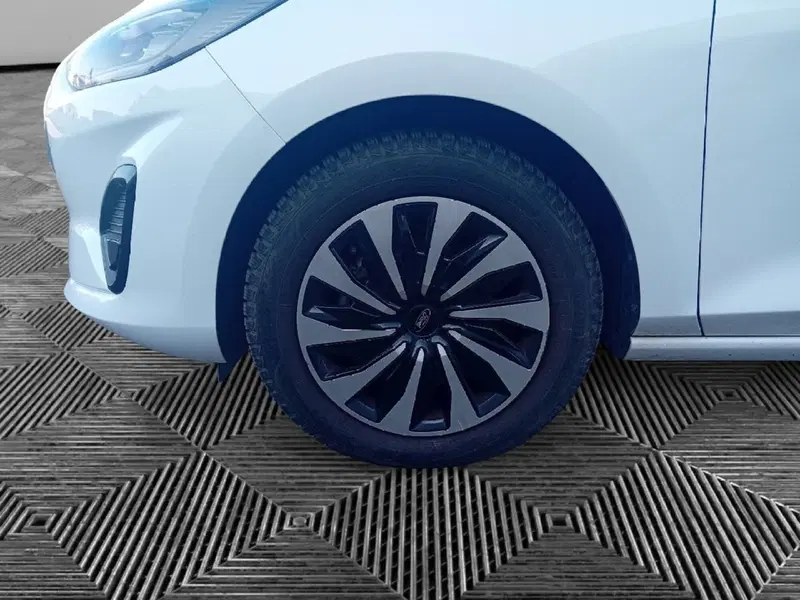 Ford Fiesta usata a Pordenone (9)