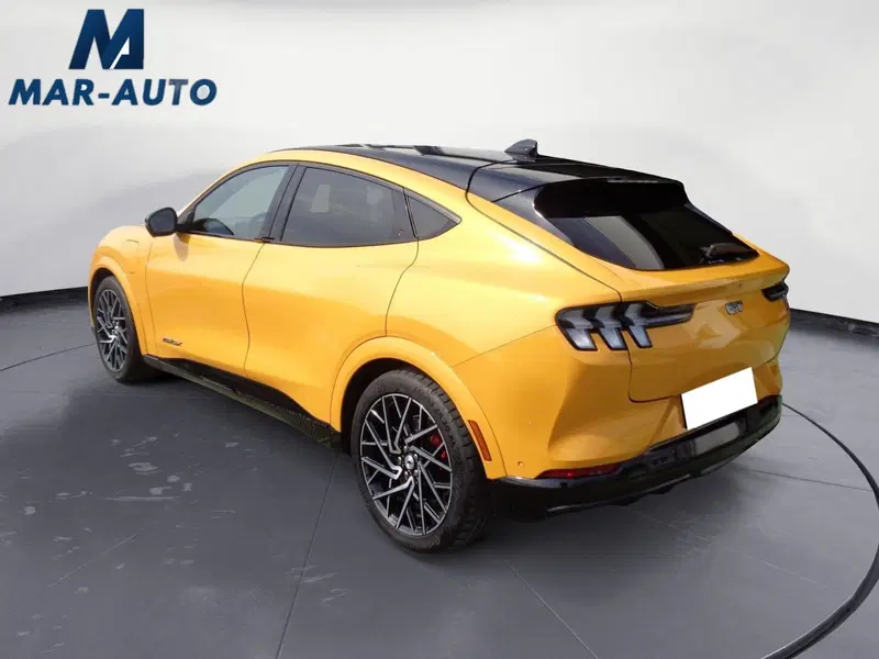 Ford Mustang Mach-E usata a Treviso (2)
