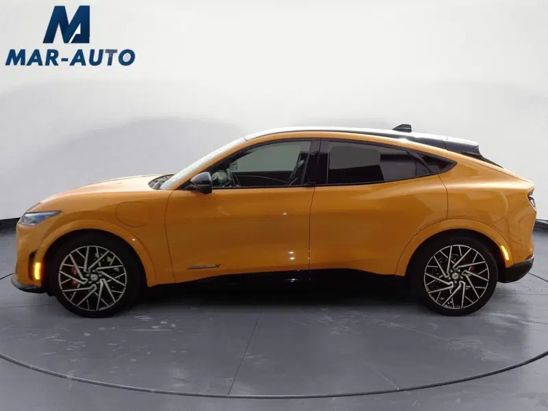 Ford Mustang Mach-E usata a Treviso (5)