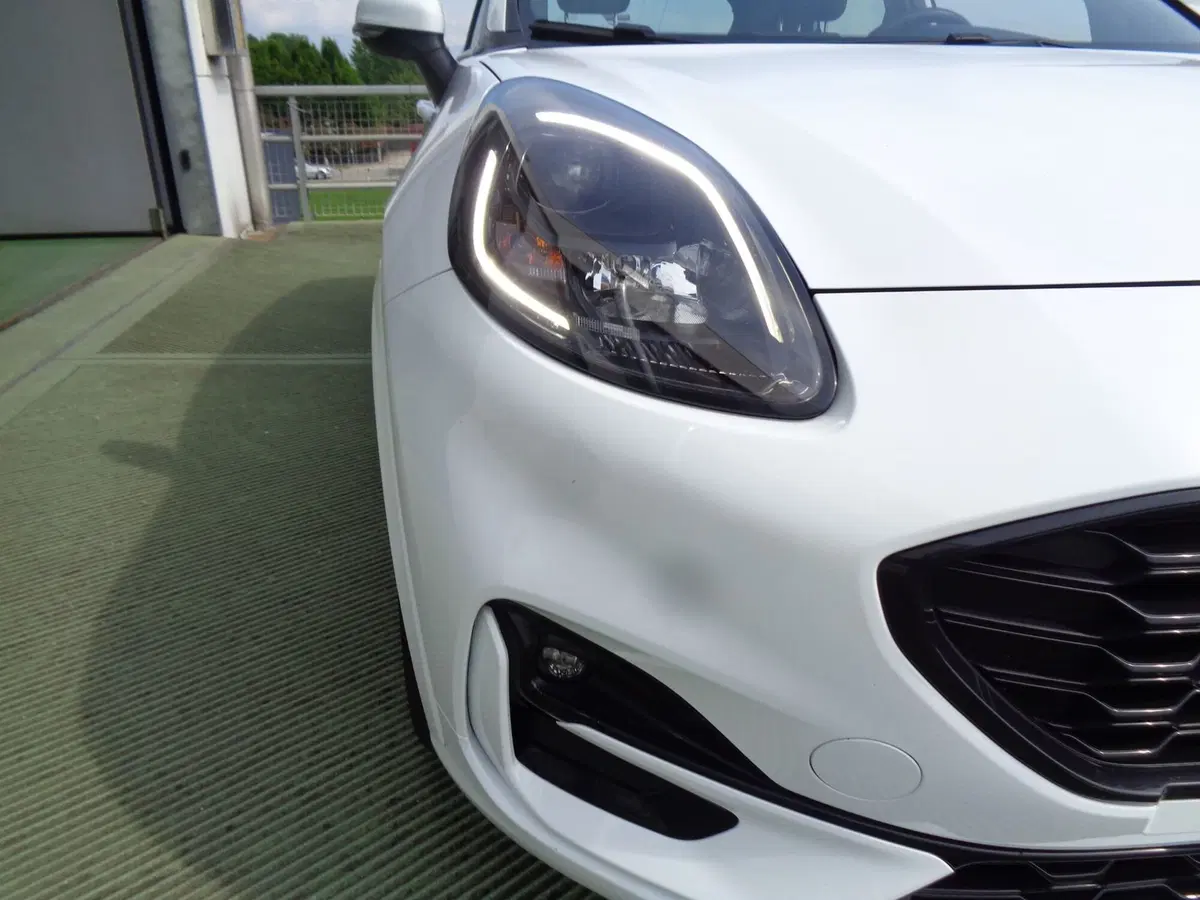 Ford Puma usata a Treviso (5)