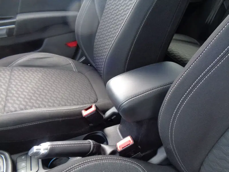 Ford Puma usata a Treviso (18)