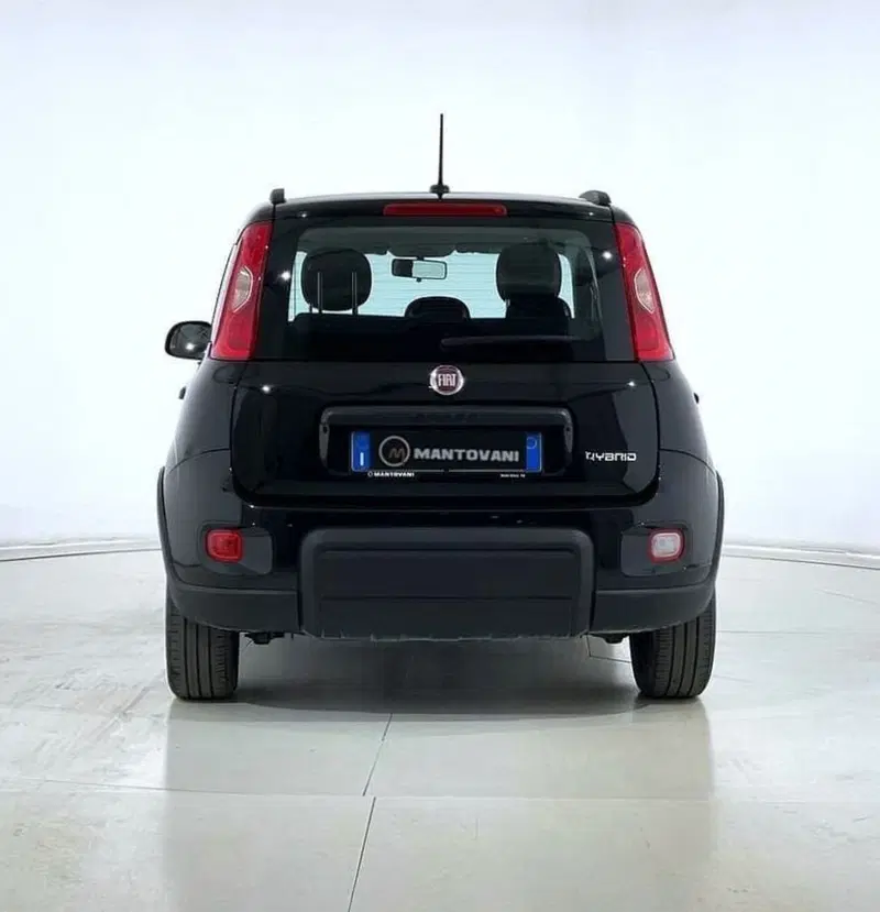 Fiat Panda usata a Perugia (3)