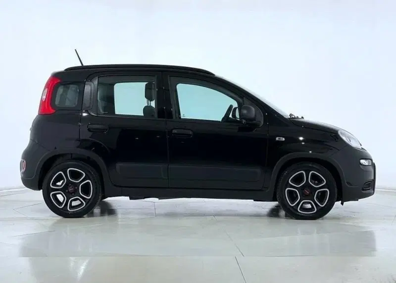Fiat Panda usata a Perugia (4)