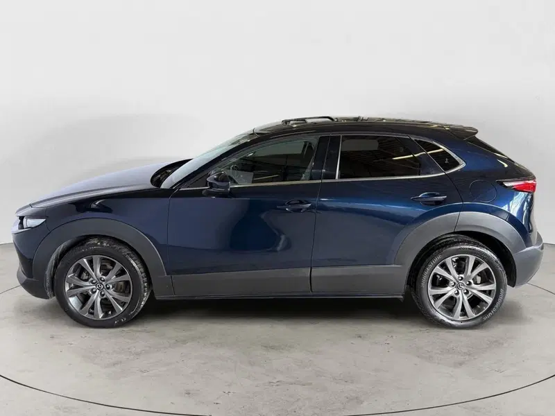 Mazda CX-30 usata a Monza e Brianza (3)