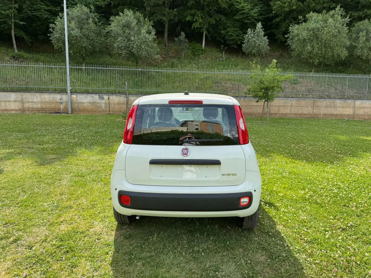 Fiat Pandina nuova a Salerno (11)