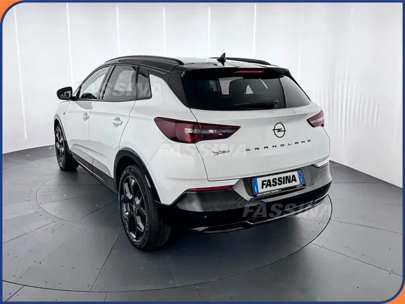 Opel Grandland usata a Milano (4)