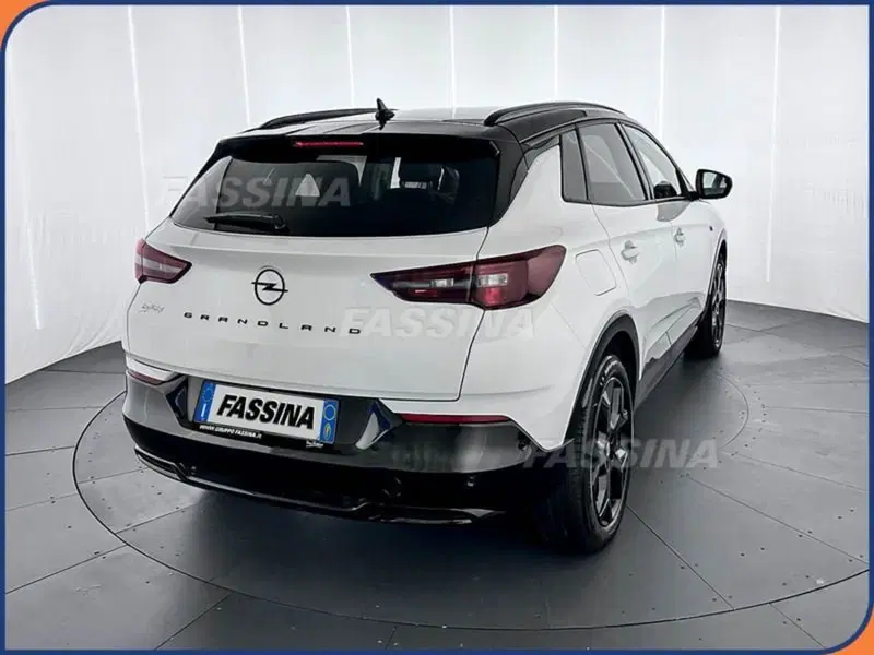 Opel Grandland usata a Milano (6)