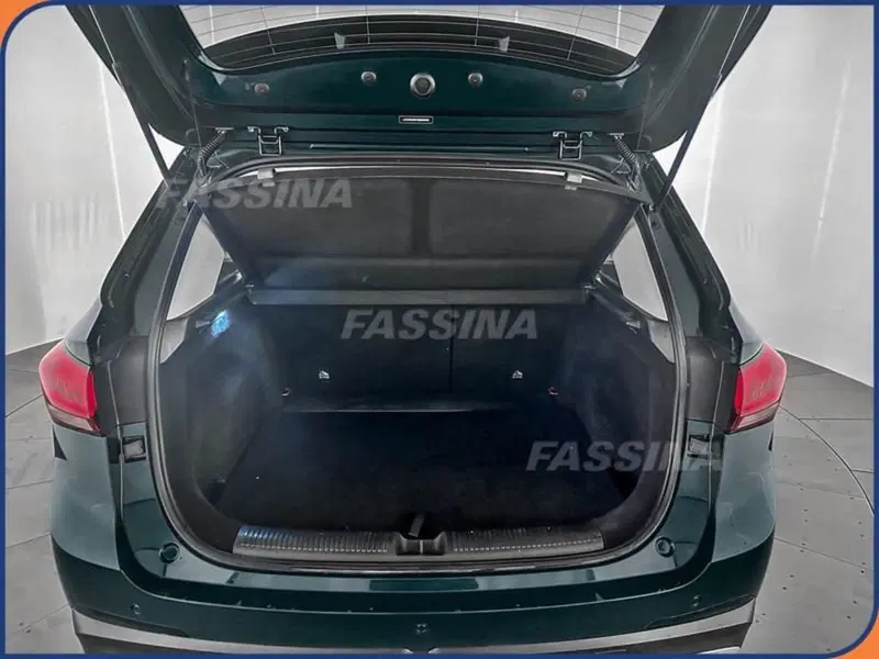 Mg ZS EV usata a Milano (11)