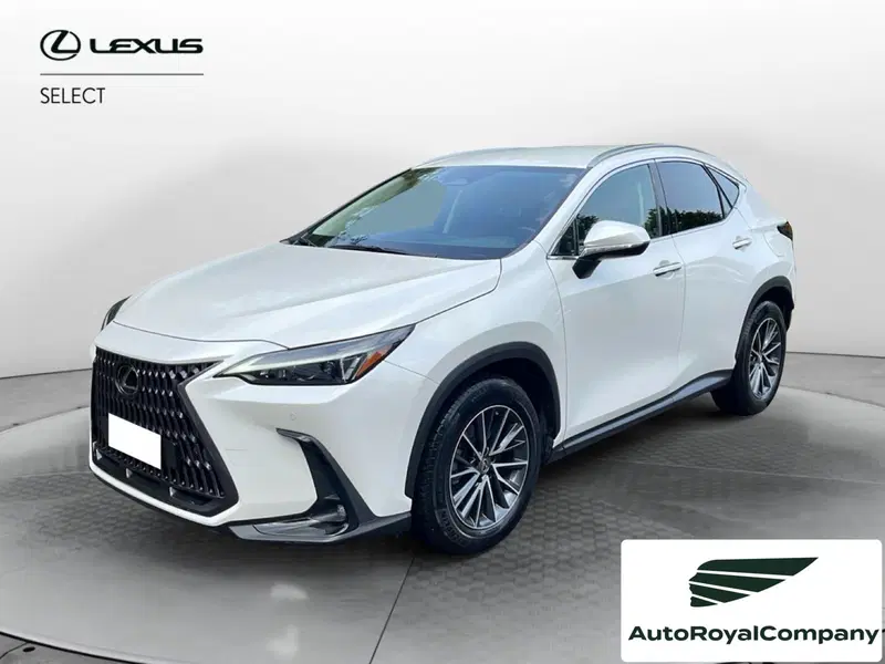 Lexus NX usata a Roma