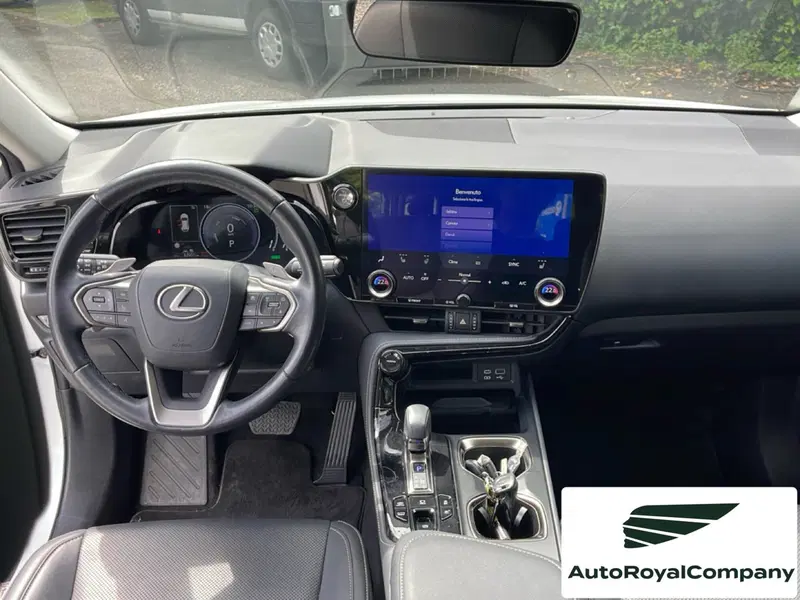 Lexus NX usata a Roma (11)