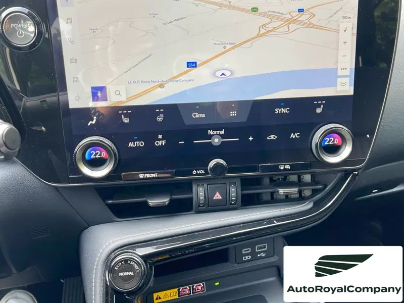 Lexus NX usata a Roma (16)