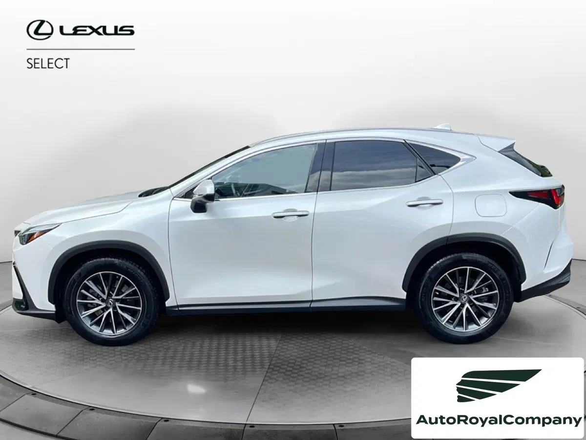 Lexus NX usata a Roma (2)