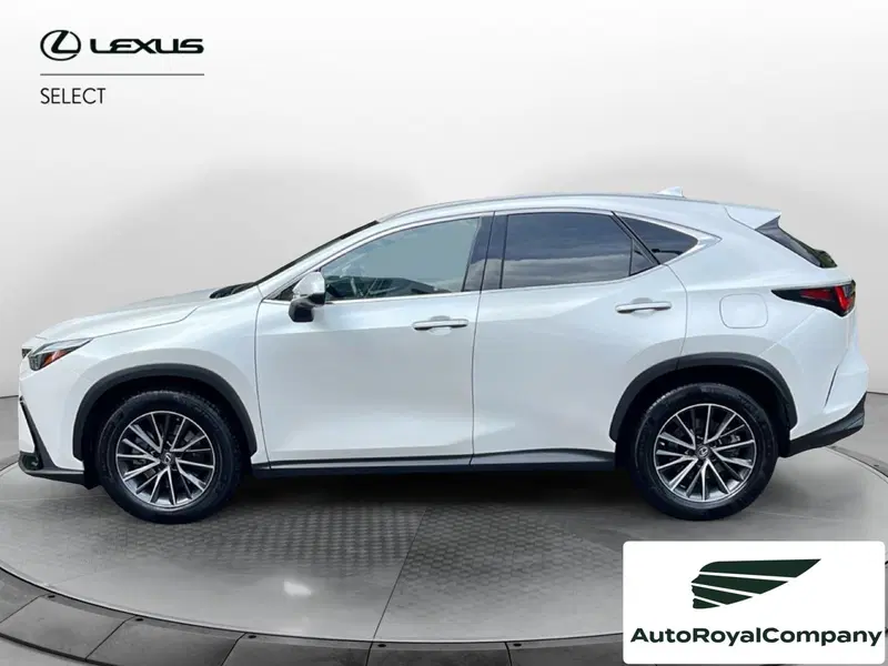 Lexus NX usata a Roma (2)