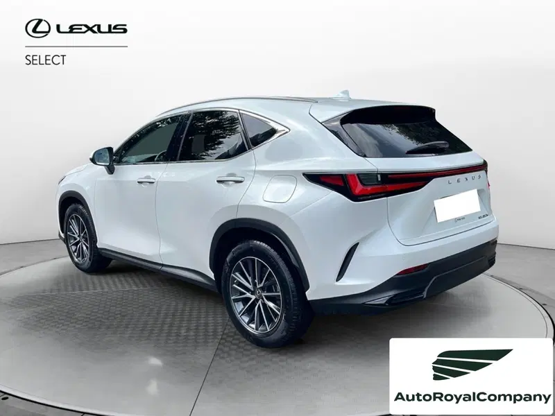 Lexus NX usata a Roma (3)