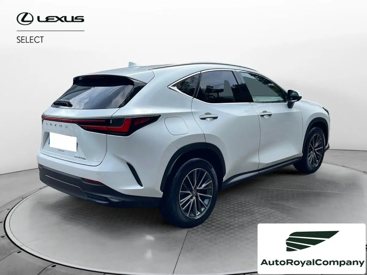 Lexus NX usata a Roma (5)