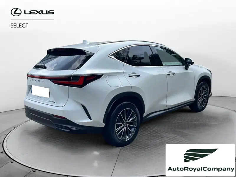 Lexus NX usata a Roma (5)