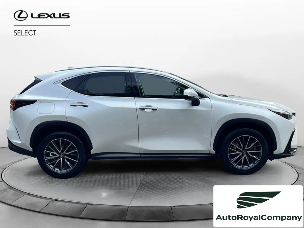 Lexus NX usata a Roma (6)