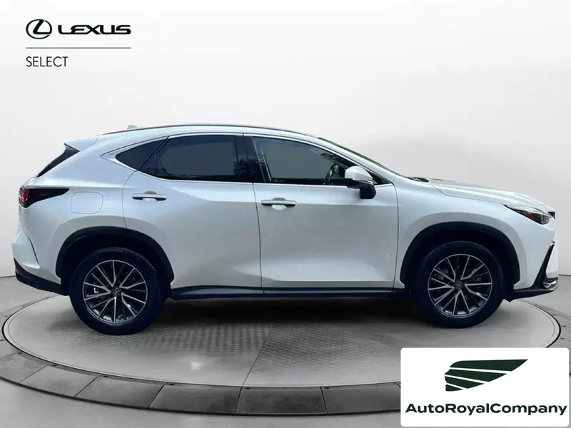Lexus NX usata a Roma (6)